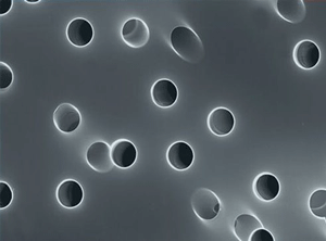 脂质体挤出膜内部孔道显微图