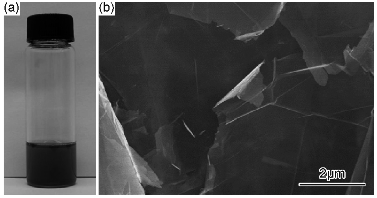 石墨烯水分散液的光学照片（ａ）及石墨烯的ＳＥＭ 图（ｂ）