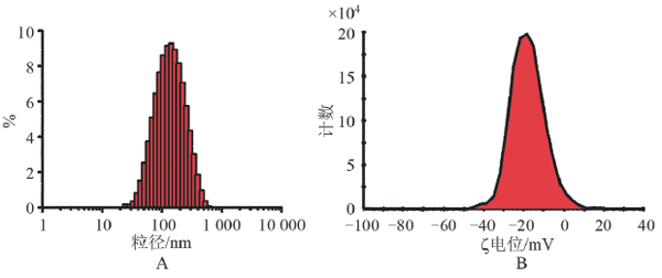 1-脂质体的粒度分布(A)-及ζ-电位分布(B).png