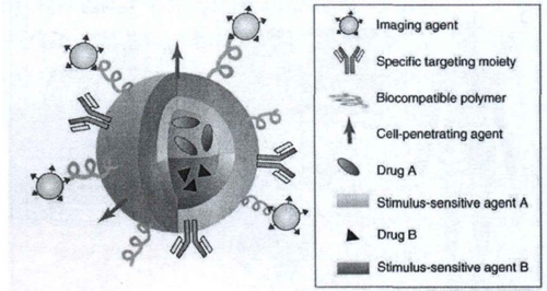 图 用于药物递送的多功能纳米颗粒