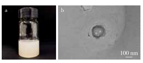 Cer3纳米乳液的外观图与透射电子显微镜（TEM）形貌图