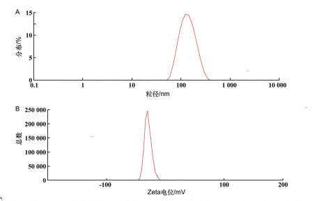 粒径及zeta电位测定结果.png