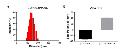α-TOS-TPP-OA的粒径分布（A）、Zeta电位（B）