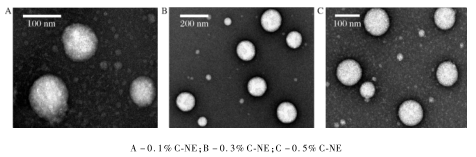 柠檬醛纳米乳的TEM图