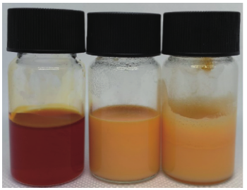 负载虾青素的油凝胶和两种油凝胶纳米乳液的外观图（左-油凝胶；中-乳清分离蛋白纳米乳液；右-鸡蛋清白蛋白纳米乳液）