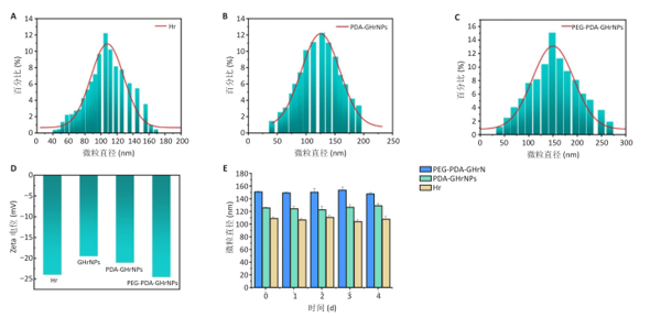 血紫蛋白多重修饰前后水合粒径、Zeta 电位及稳定性检测结果