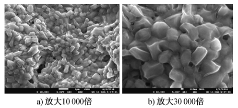 甜橙油纳米微胶囊的扫描电镜图