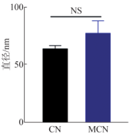 CN、MCN的粒径大小