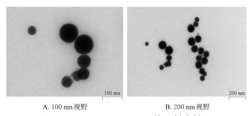 BBR/PIP-SMEDDS的透射电镜图 BBR/PIP-SMEDDS的透射电镜图