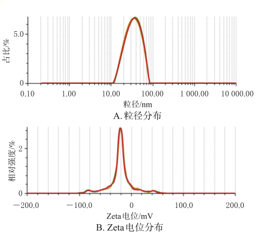 BBR/PIP-SMEDDS的粒径和Zeta电位分布 BBR/PIP-SMEDDS的粒径和Zeta电位分布